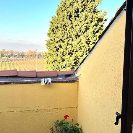 La Ninfea Di Luca A Due Passi Da Sirmione * San Martino della Battaglia